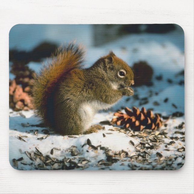 Red Tailed Squirrel Mouse Pad (Front)