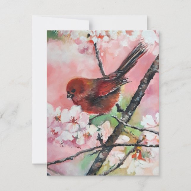 Red tanager bird on Cherry blossom   (Front)