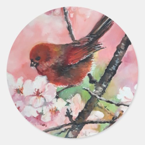 Red tanager bird on Cherry blossom  Classic Round Sticker