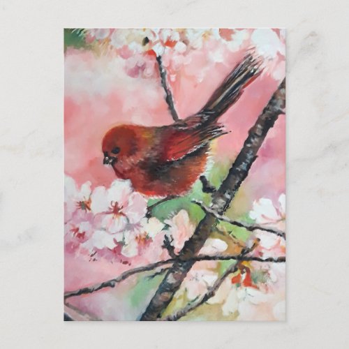 Red tanager bird on Cherry blossom   Holiday Postcard