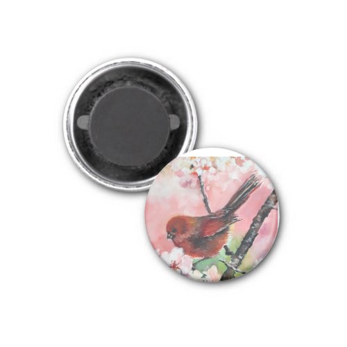 Red tanager bird on Cherry blossom  Magnet