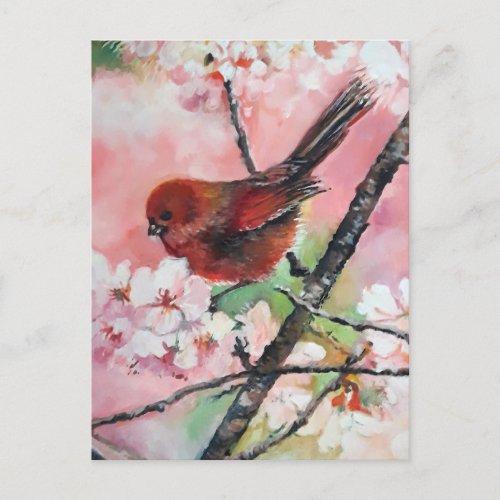 Red tanager bird on Cherry blossom  Postcard