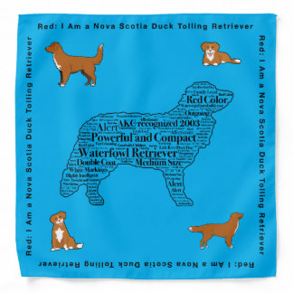 Red the Nova Scotia Duck Tolling Retriever Bandana