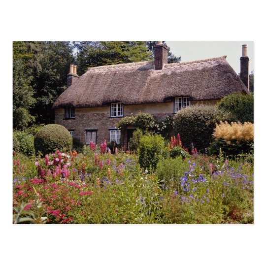 Red Thomas Hardy S Cottage Dorset England Flower Postcard