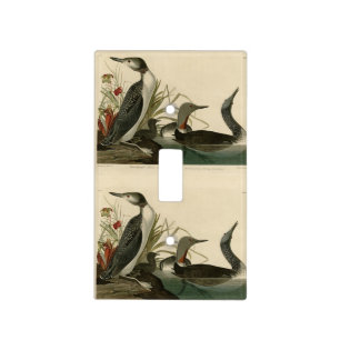 Red-Throated Diver (Loon) Audubon Birds of America Light Switch Cover