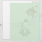 Red Throated Hummingbird2 letterhead_vertical (Front/Back)