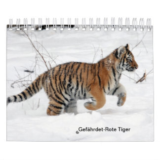 Red Tiger as a Calendar