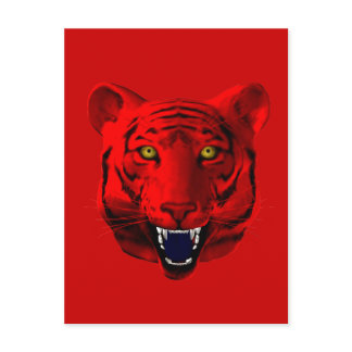 Red Tiger Postcard