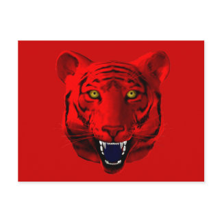 Red Tiger Postcard