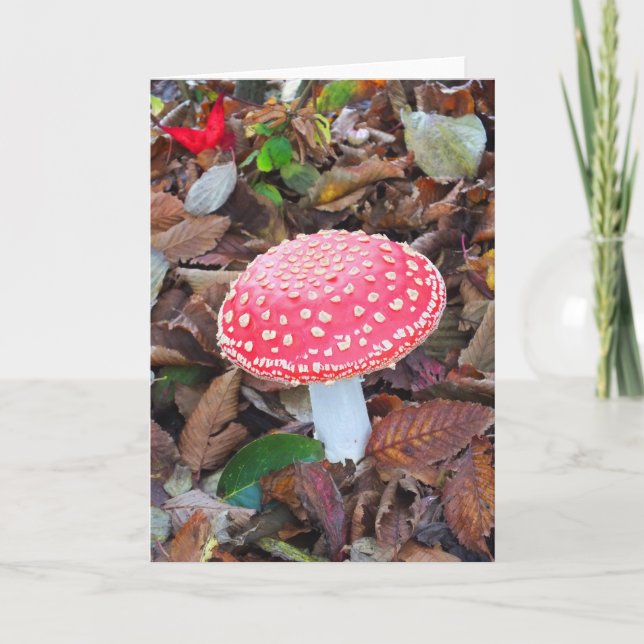 Red toadstool holiday card (Front)