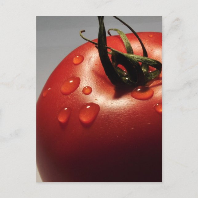 RED TOMATO FRESH FRUITS VEGETABLES HEALTHY YUMMY POSTCARD (Front)