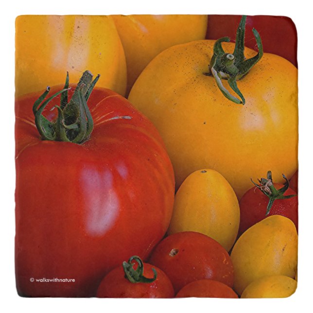 Red Tomatoes, Yellow Tomatoes Trivet (Front)