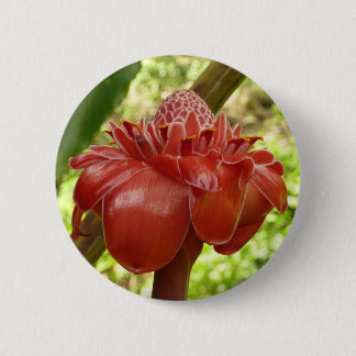 Red Torch Ginger Tropical Flower Photography Button