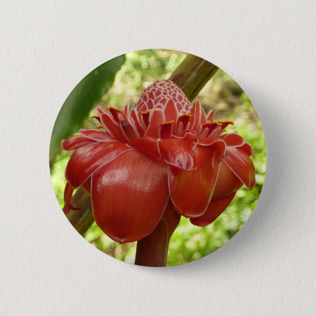 Red Torch Ginger Tropical Flower Photography Button (Front)