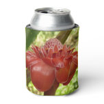 Red Torch Ginger Tropical Flower Photography Can Cooler