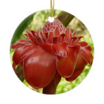 Red Torch Ginger Tropical Flower Photography Ceramic Ornament