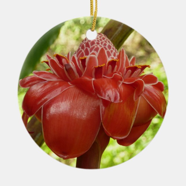 Red Torch Ginger Tropical Flower Photography Ceramic Ornament (Front)