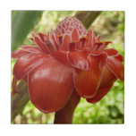 Red Torch Ginger Tropical Flower Photography Ceramic Tile