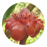 Red Torch Ginger Tropical Flower Photography Classic Round Sticker