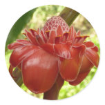 Red Torch Ginger Tropical Flower Photography Classic Round Sticker