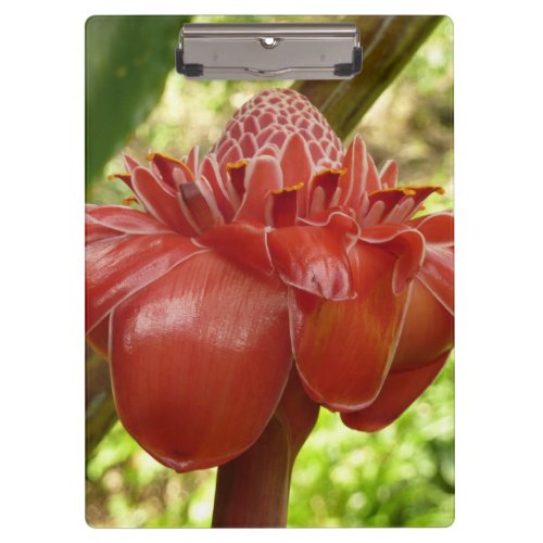 Red Torch Ginger Tropical Flower Photography Clipboard