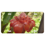 Red Torch Ginger Tropical Flower Photography License Plate