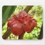 Red Torch Ginger Tropical Flower Photography Mouse Pad