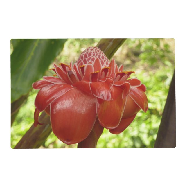 Red Torch Ginger Tropical Flower Photography Placemat (Front)