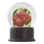 Red Torch Ginger Tropical Flower Photography Snow Globe