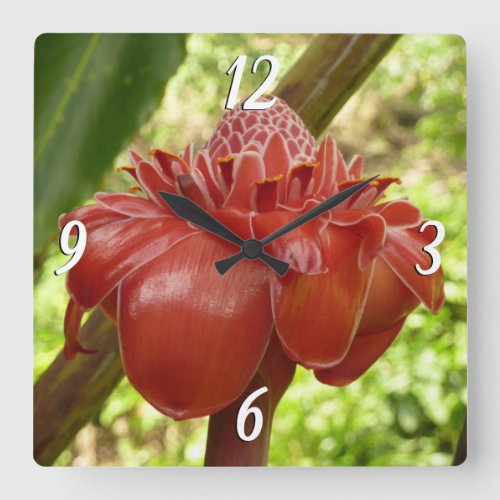 Red Torch Ginger Tropical Flower Photography Square Wall Clock