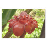 Red Torch Ginger Tropical Flower Photography Tissue Paper
