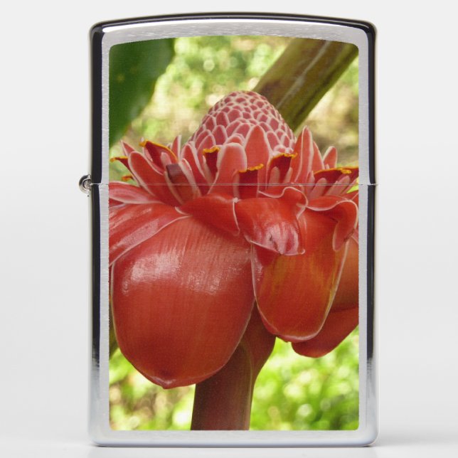 Red Torch Ginger Tropical Flower Photography Zippo Lighter (Front)