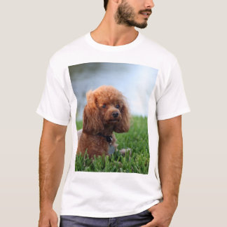Red Toy Poodle T-Shirt