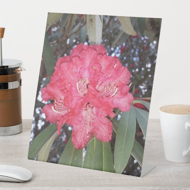 Red tree flower pedestal sign (In SItu)
