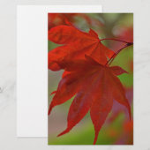 Red Tree Leaves (Front/Back)