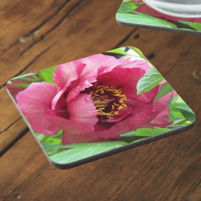 Red Tree Peony Bloom Floral Beverage Coaster (In Situ)