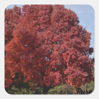 Red Tree Stickers
