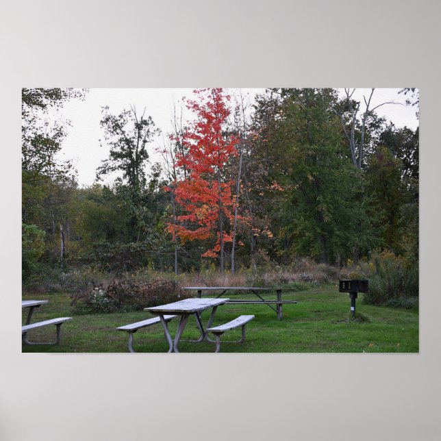 Red Tree with Benches Poster (Front)