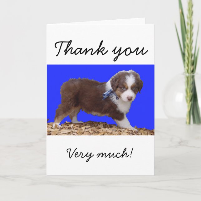 Red Tri Aussie Puppy Thank You Card (Front)