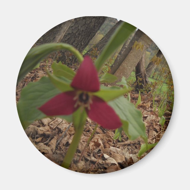 Red Trillium Magnet (Front)