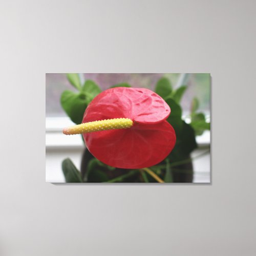 Red Tropical Flower photo Canvas Print