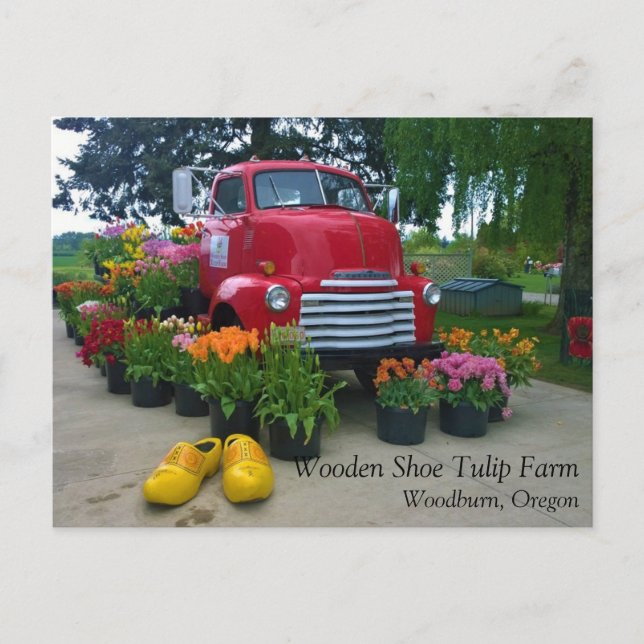 Red Truck with Tulips, Oregon Postcard (Front)