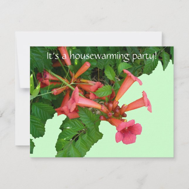 Red Trumpet Vine Housewarming Invitation (Front)
