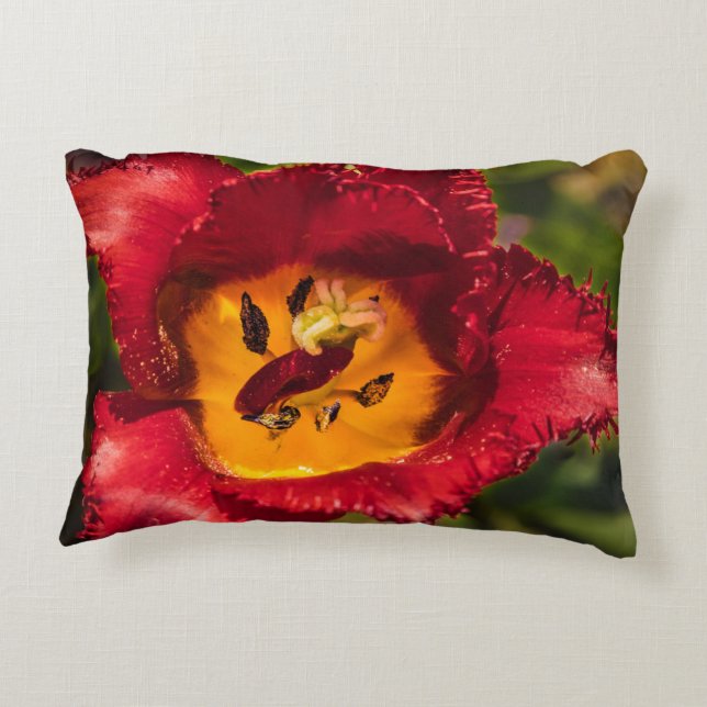 Red tulip accent pillow (Back)
