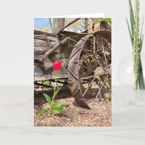 Red Tulip and Old Wagon Birthday Card
