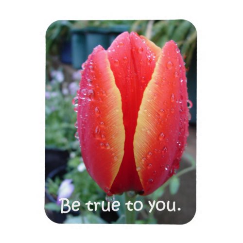 Red Tulip and Raindrops floral Be True To You Magnet