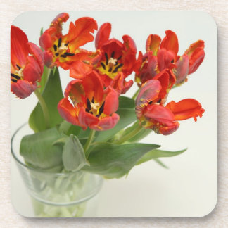 red tulip beverage coaster