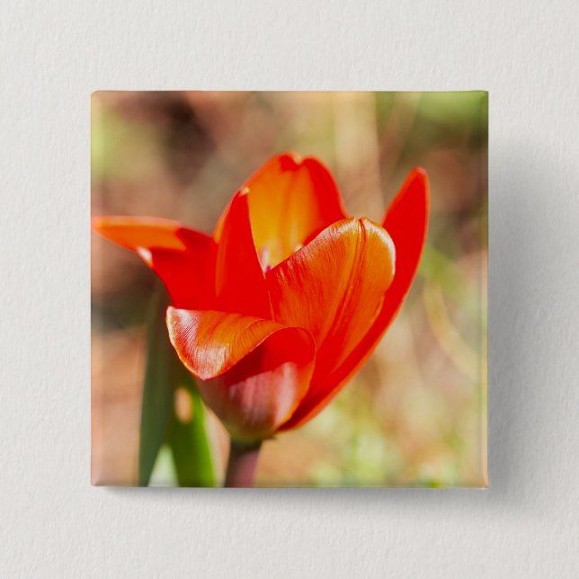 Red Tulip Blossom Button (Front)