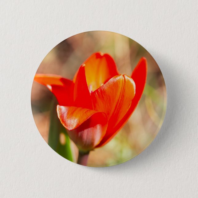 Red Tulip Blossom Button (Front)