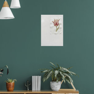 Red Tulip Botanical Watercolour Poster